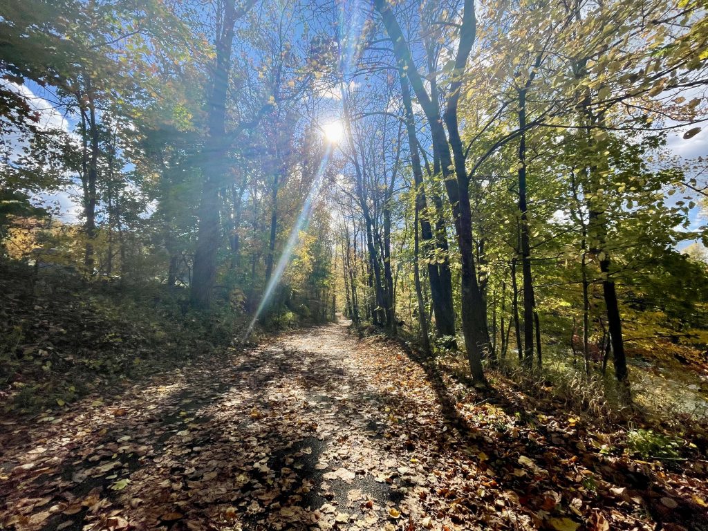 Massage and Bodywork by Emily J Heil Schwenksville PA - Sunshine Energy